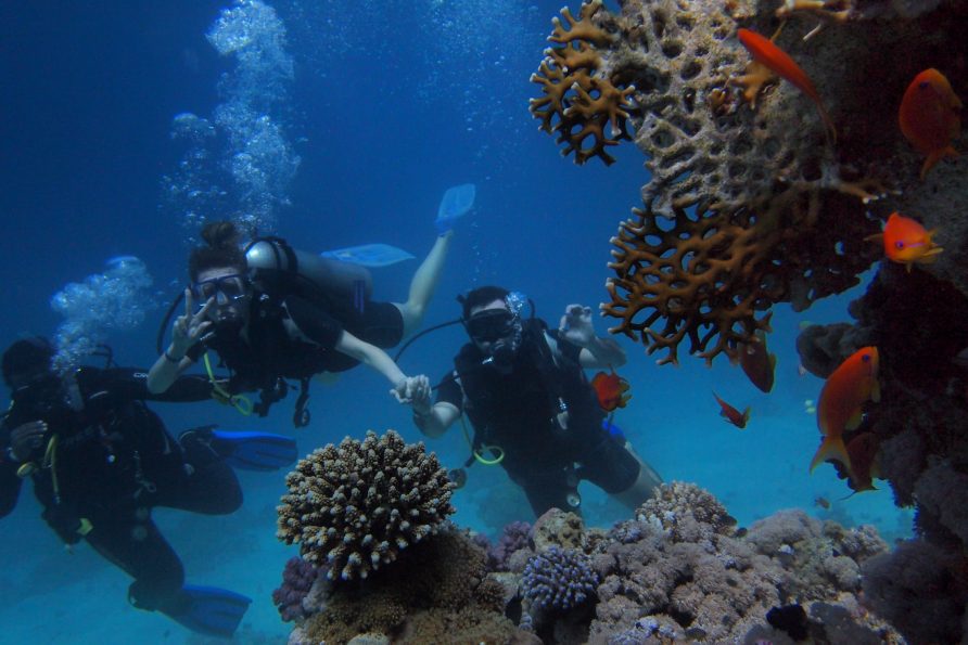 Scuba Diving – Cabo Pulmo National Marine Park